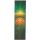 Proto First Contact 7" Griptape