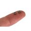 FS Fingerboard Lukkomutterit 2kpl